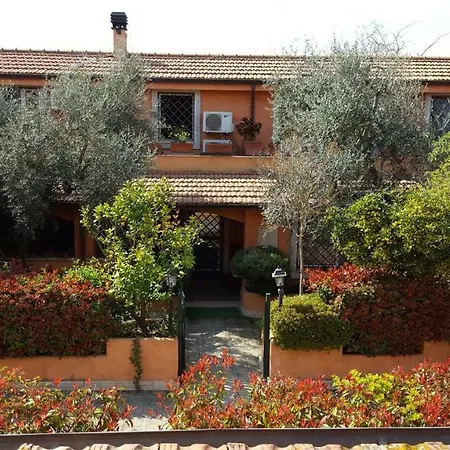 Bed & Breakfast Country Lemon *