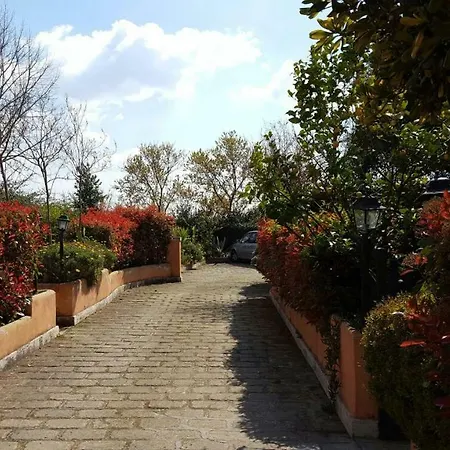 Country Lemon Bed & Breakfast Santa Marta